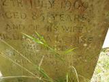 image of grave number 951113